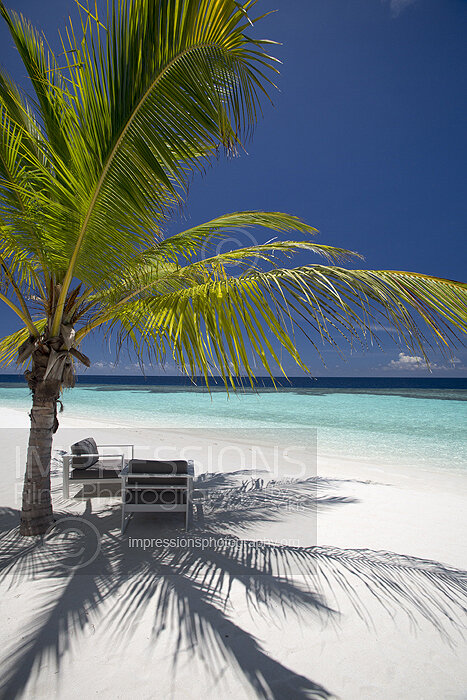 Chairs on tropical Beach in Maldives
