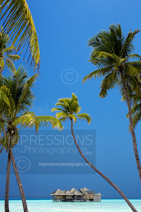 tropical beach in Maldives coconut tree and water villas Stock Photo