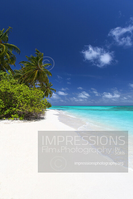 tropical beach and coconut trees in Maldives