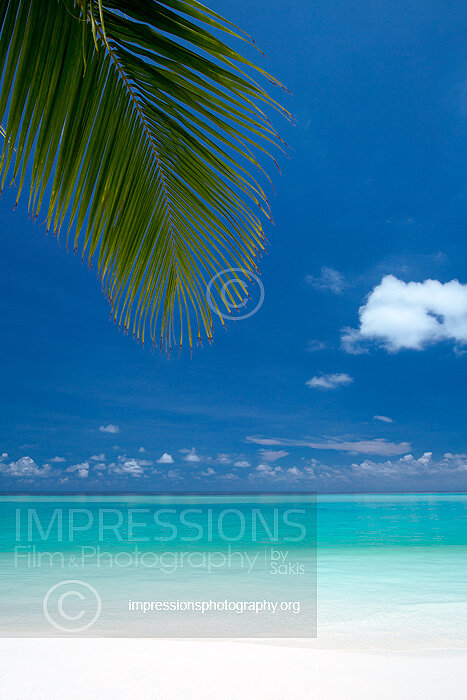 tropical beach and coconut trees in Maldives Stock Photo