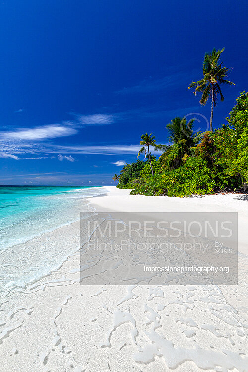 tropical beach and coconut trees in Maldives Stock Photo