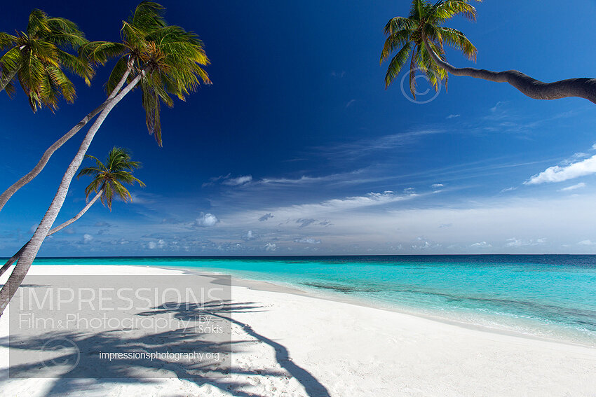 tropical beach and coconut trees in Maldives Stock Photo