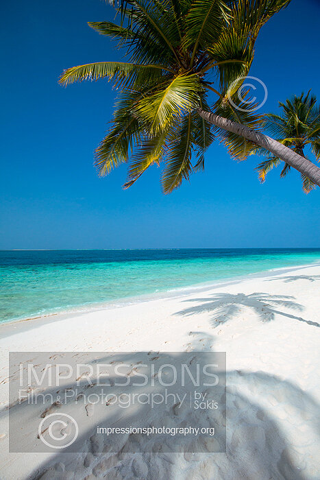 tropical beach and coconut trees in Maldives Stock Photo