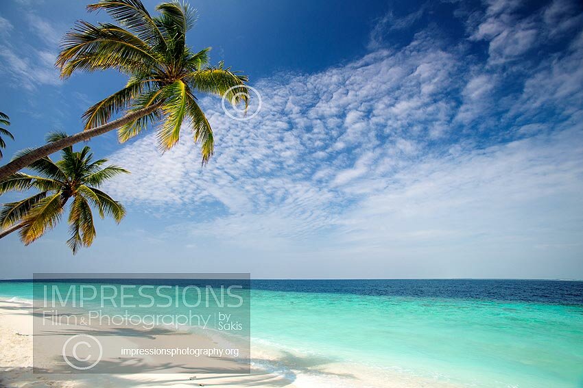 tropical beach and coconut trees in Maldives
