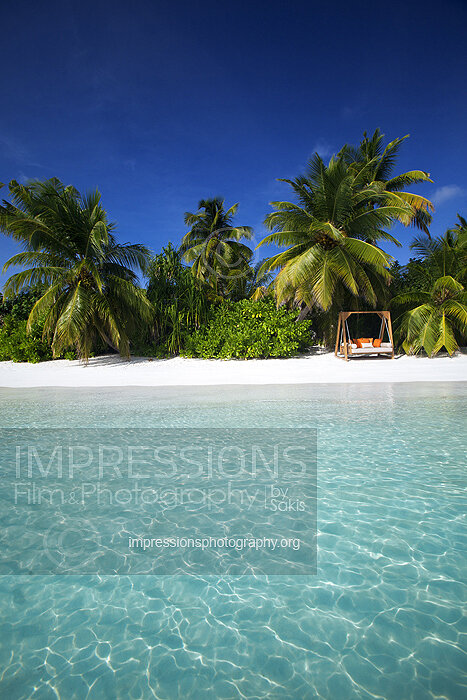 Swing on a tropical beach and coconut trees in Maldives