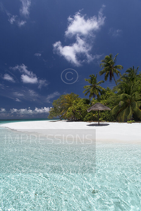 sun umbrella on tropical beach and coconut trees in Maldives 