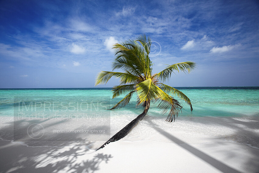 tropical beach and coconut trees in Maldives Stock Photo