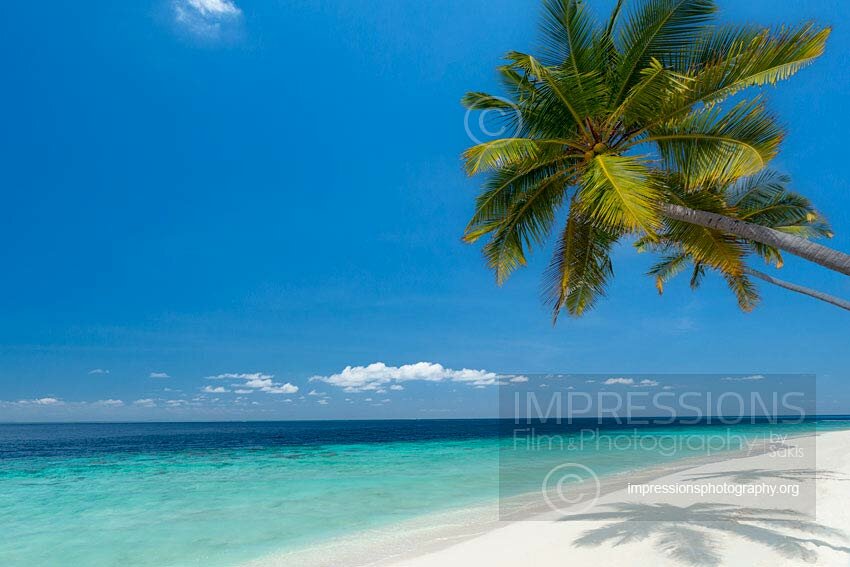 Maldives tropical beach and coconut tree above blue lagoon Stock Photo
