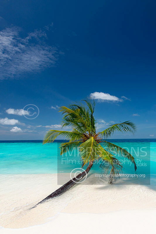 Maldives tropical beach and coconut tree above blue lagoon Stock Photo