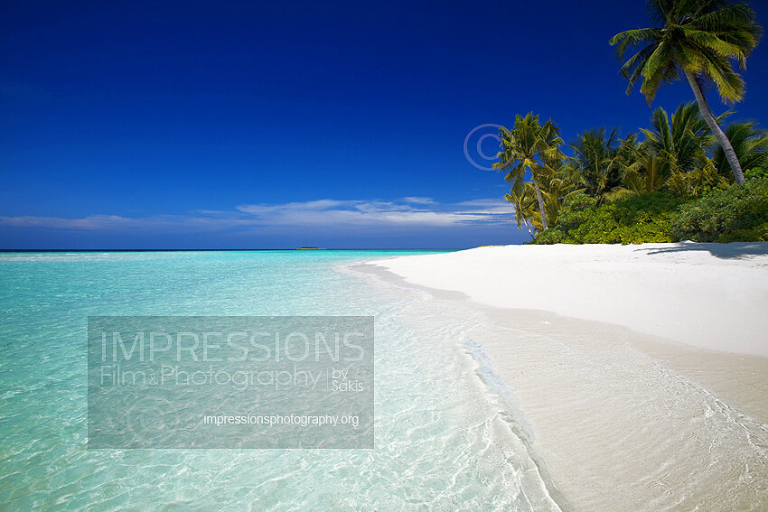 tropical beach and coconut trees in Maldives 