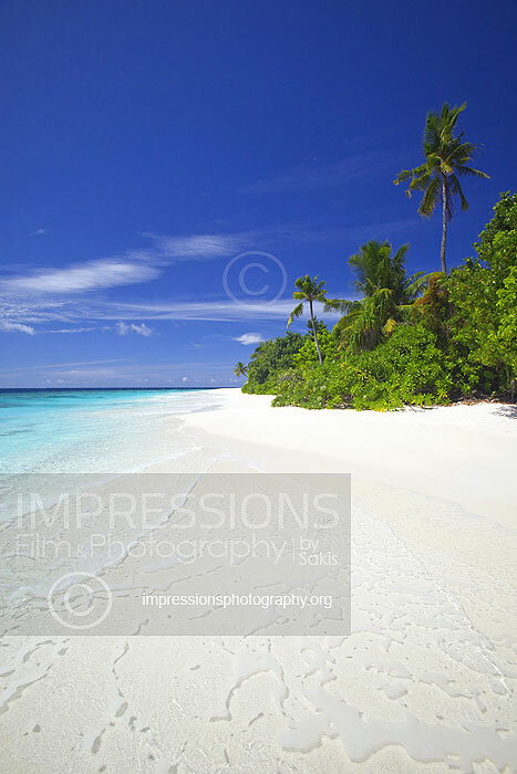 tropical beach and coconut trees in Maldives