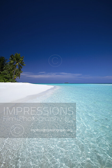tropical beach and coconut trees in Maldives