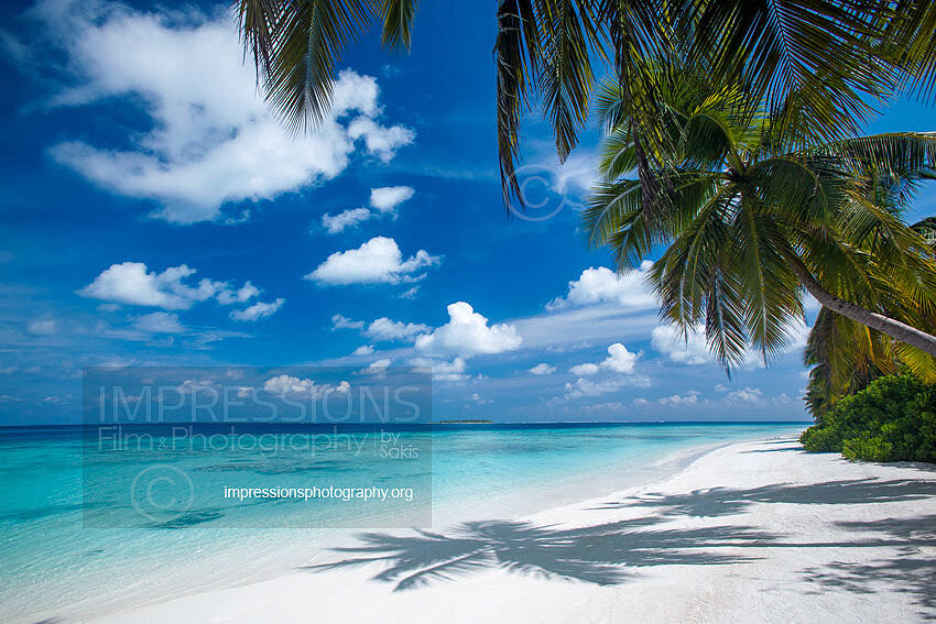 tropical beach and coconut trees in Maldives 
