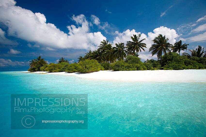 tropical beach and coconut trees on a desert island in Maldives