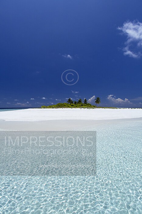 tropical beach and coconut trees on a desert island in Maldives