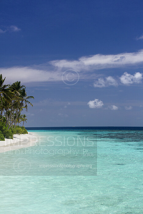 tropical beach and coconut trees in Maldives
