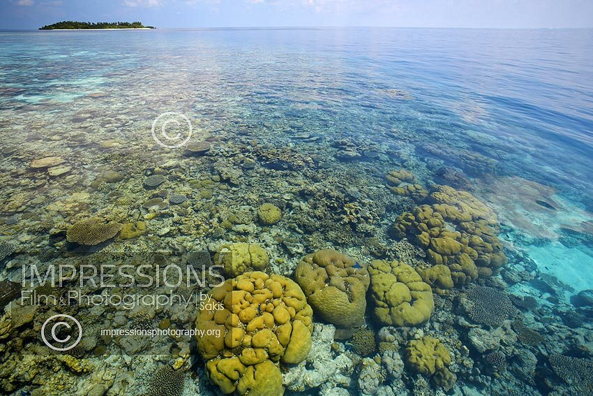 Maldives coral reefs and tropical island stock photo