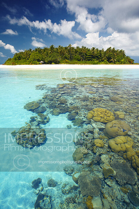 Maldives coral reefs and tropical island stock photo