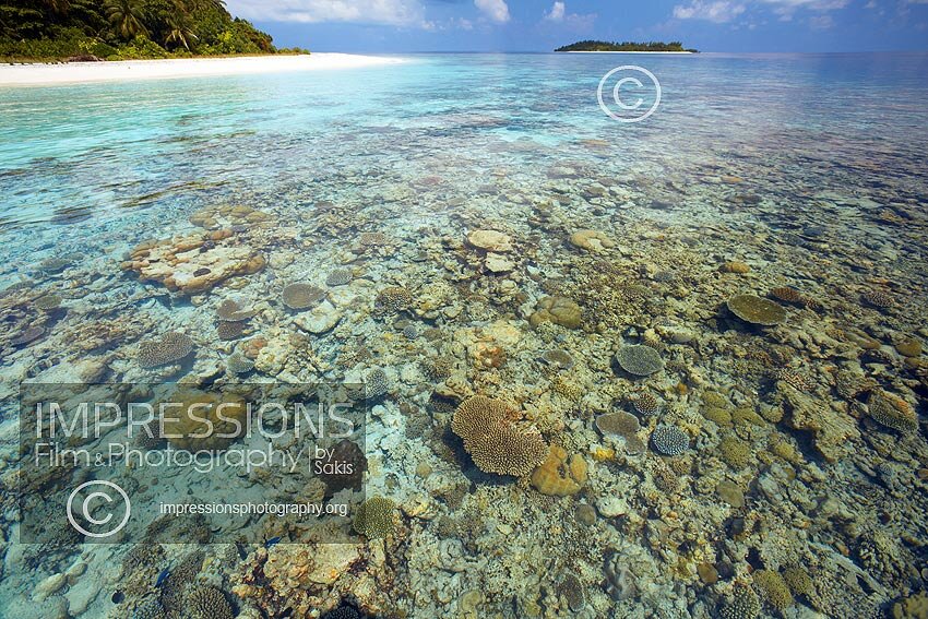 Maldives coral reefs and tropical island stock photo