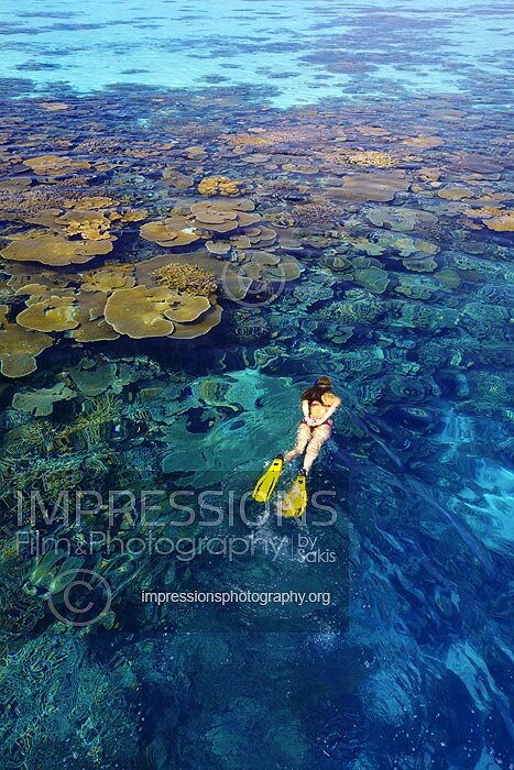 Maldives woman snorkeling on coral reefs stock photo