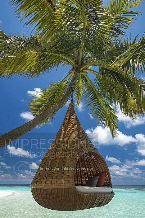 Maldives, hammock nest hanging on a coconut tree over blue lagoon Stock Photo