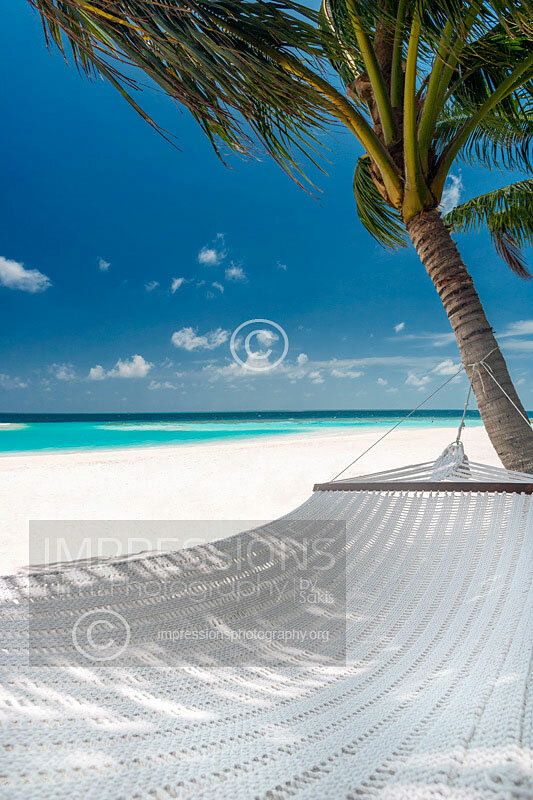 Maldives Hammock under coconut palm trees on a Maldives tropical beach stock photo