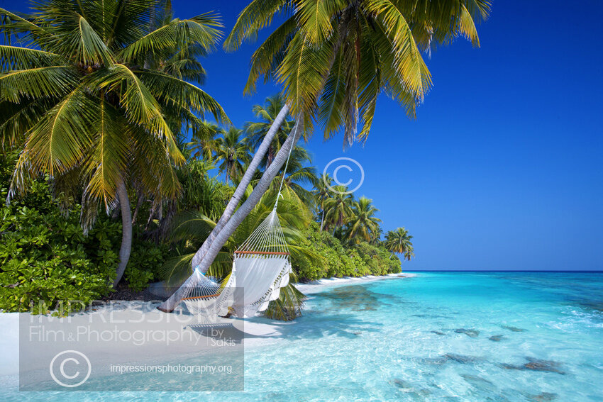 Hammock under palm trees on a Maldives tropical beach