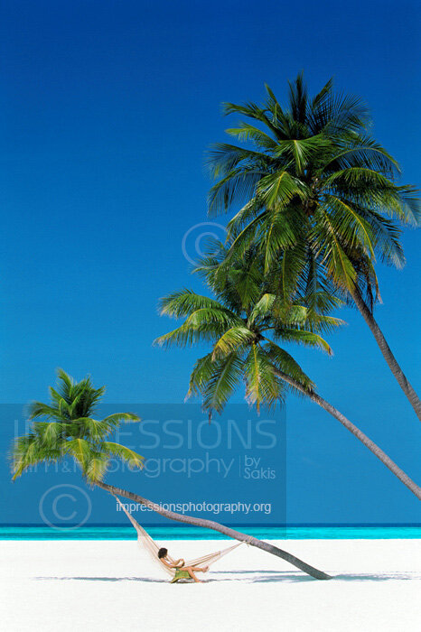 Maldives, woman on beach, lying in hammock suspended from palm tree