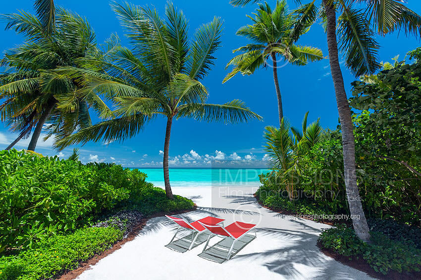 maldives stock photo tropical beach lounge chairs and palm trees