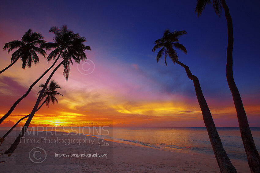Maldives sunset on a tropical beach of a desert island with coconut trees stock photo