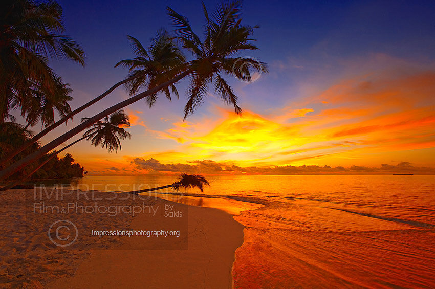 Maldives sunset on a tropical beach of a desert island with coconut trees stock photo
