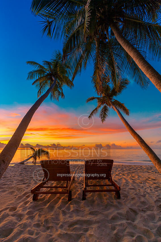 Maldives sunset with Lounge Chairs on tropical beach and coconut palm trees stock photo
