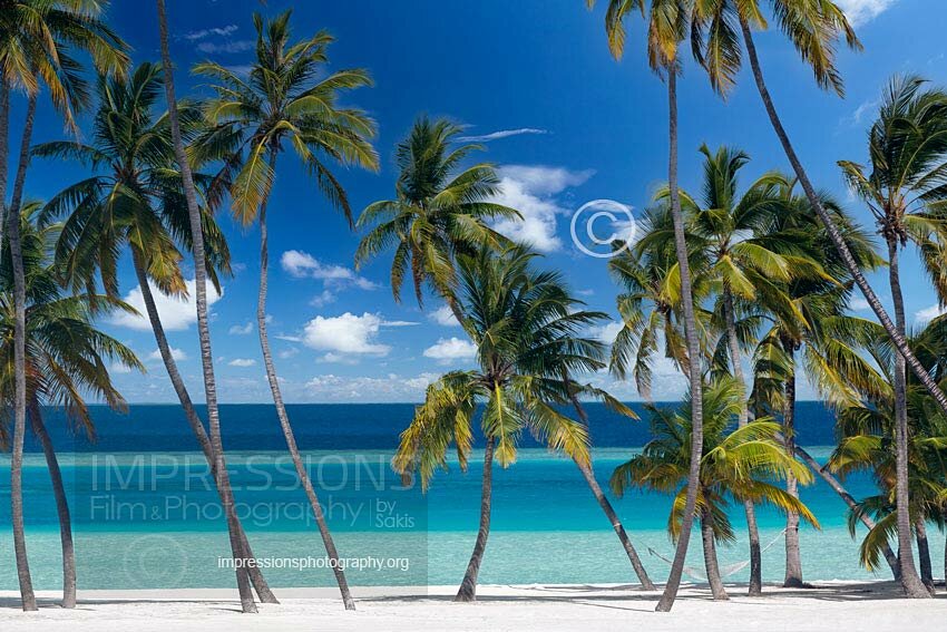 Maldives tropical beach with hammock under coconut trees Stock Photo
