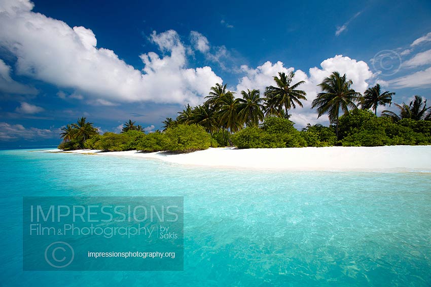 maldives stock photo tropical island desert island tropical beach with coconut trees