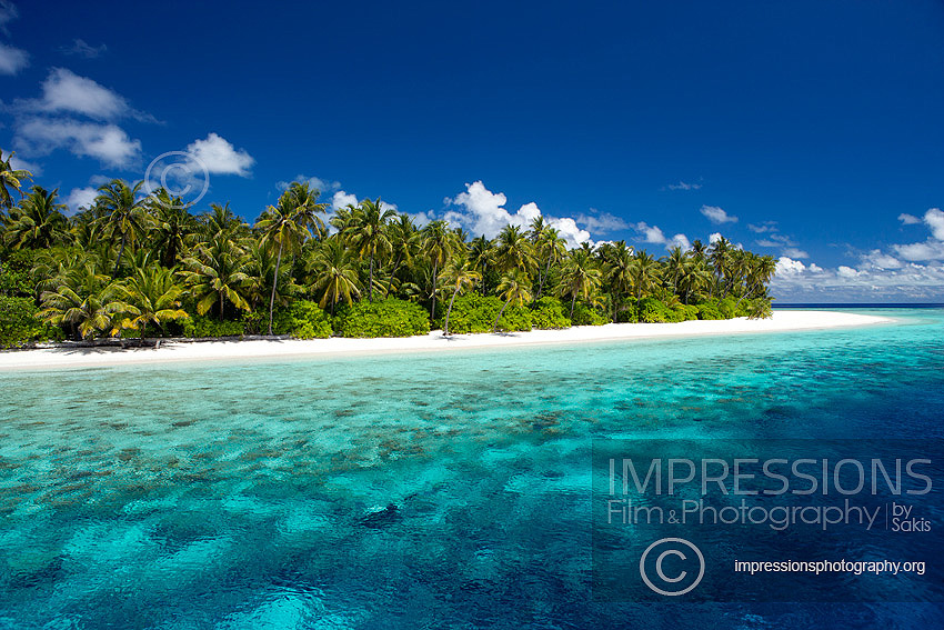 maldives stock photo tropical island desert island with tropical beach and coral reefs