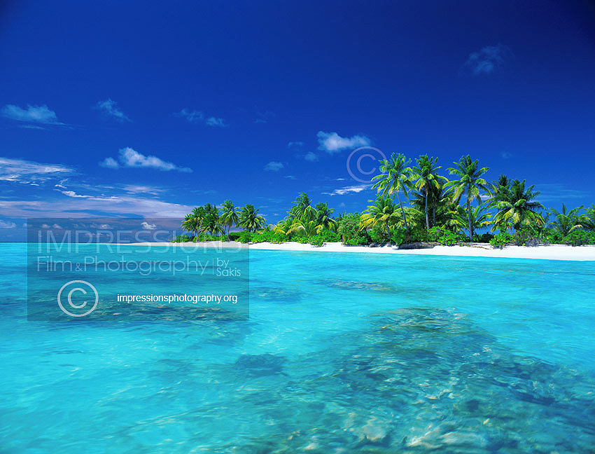 maldives stock photo tropical island desert island with tropical beach coconut trees coral reefs and lagoon