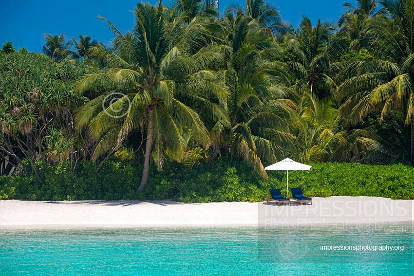 maldives lounge chairs and sun umbrella on tropical beach with coconut trees stock photo