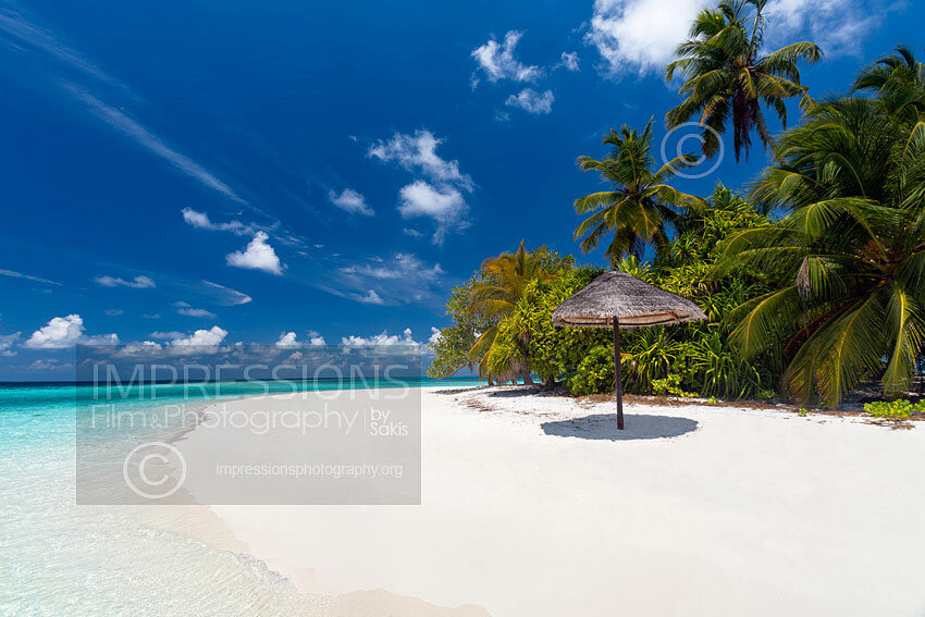 maldives sun umbrella on tropical beach with coconut trees stock photo