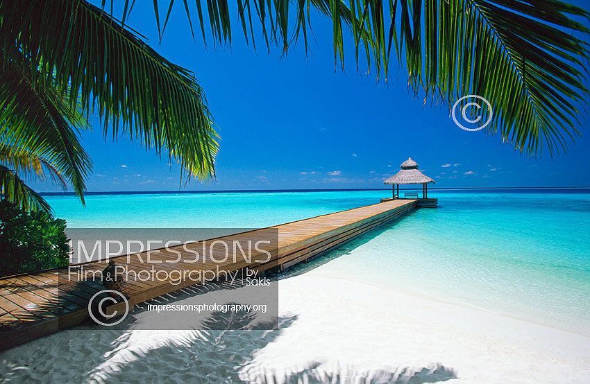 Maldives stock photo of a wooden jetty out to tropical sea, view from island with coconut palm trees