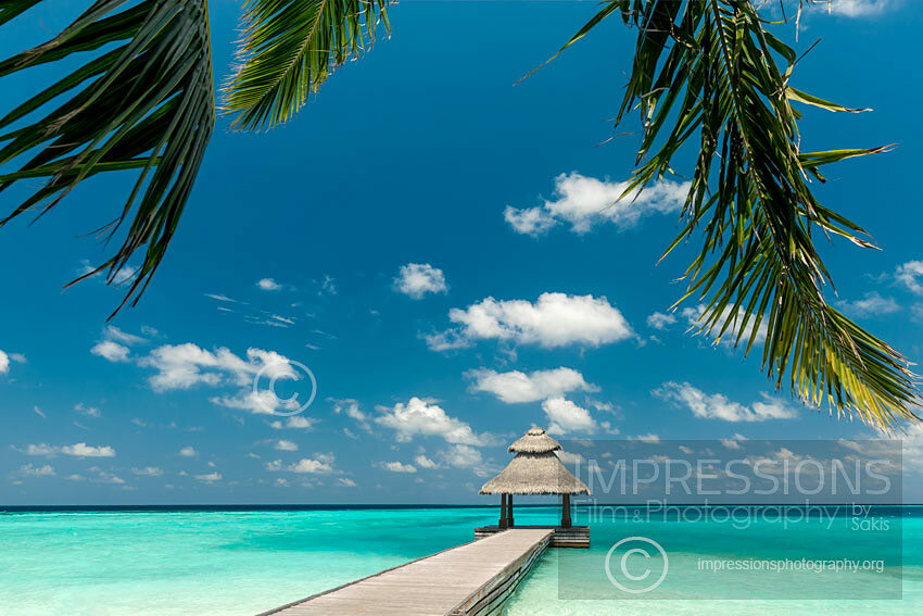 Maldives stock photo of a wooden jetty out to tropical sea, view from island with coconut palm trees