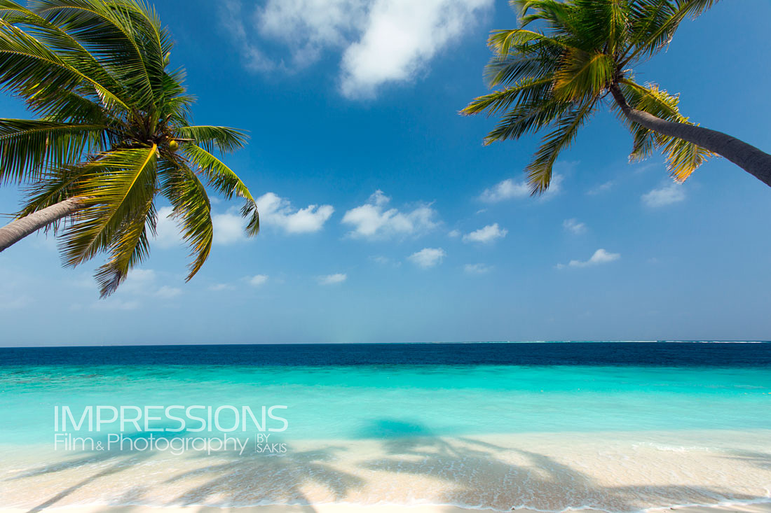 tropical beach and palm trees maldives travel photography