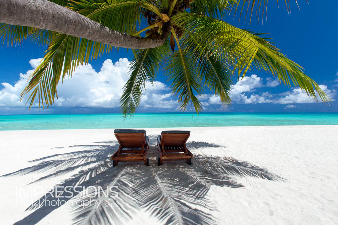 tropical beach palm trees maldives travel photography
