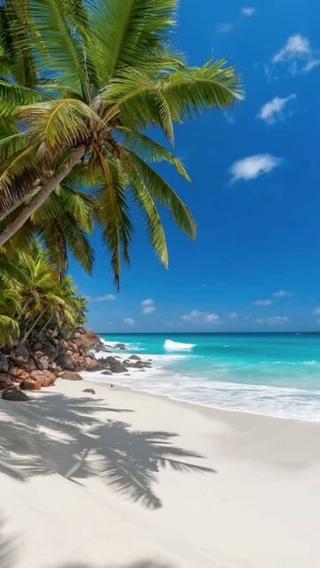 Usually, my job is to make a place look better than it is. 
At Fregate Island, Seychelles, that was not the case. There’s a specific kind of serenity you find when nature is this untouched. It’s a ‘pearl’ in every sense, rare and breathtaking. I left a piece of my heart on those white sands, and I think these frames show why.  Luxury Resort and hotel photography and video.  #fregateisland #seychelles #luxuryresort #luxurytravel #indianocean