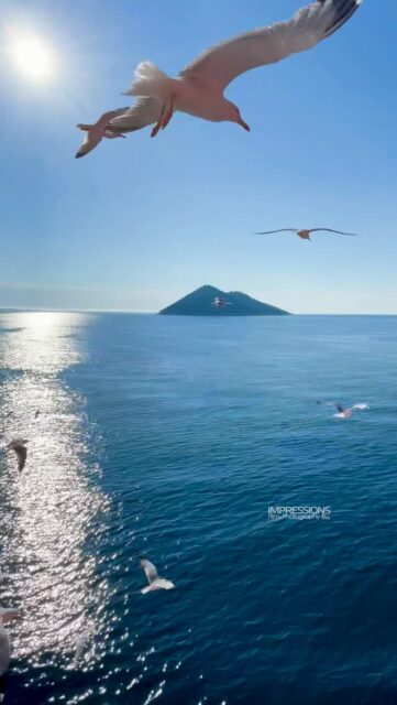 A luxury property is defined by the stories it tells.
Specialising in the visual elevation of luxury properties for 25 years, across Greece and beyond. From the symmetry of the architecture to the lifestyle within, I provide the cinematic depth your property deserves.  Hotels. Villas. Private Islands.
Cinematography & Photography for the discerning eye  #architecturephotography #luxuryrealestate #visualstoryteller #luxuryhotel #luxurytravel