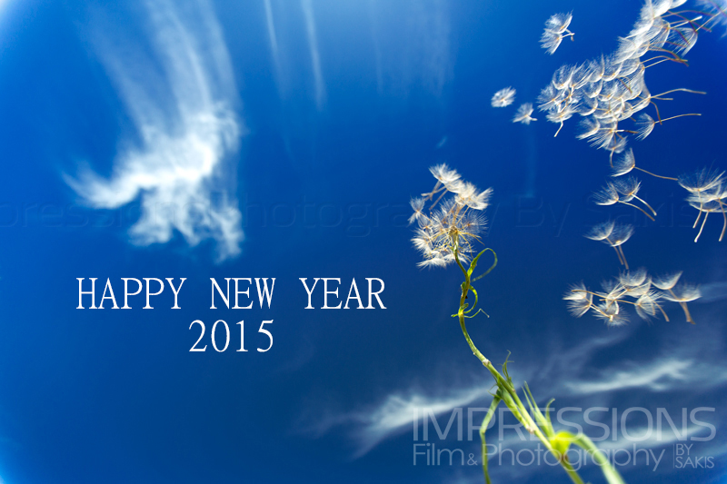 Happy New Year 2015