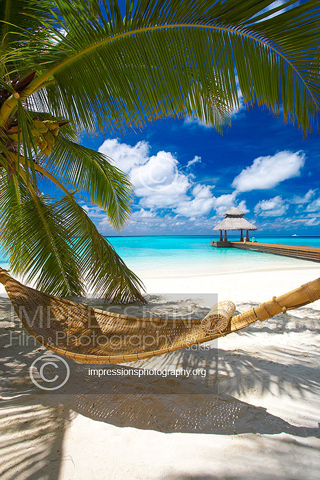 Maldives, Hammock under palmtree overlooking wooden jetty out to tropical sea