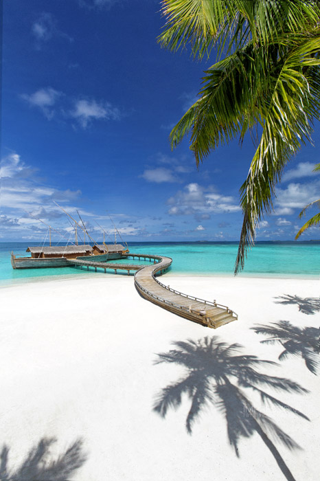 case study luxury resort milaidhoo hospitality project