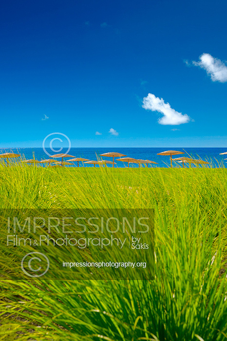 empty beach and grass and on the coast of Peloponnese, greece