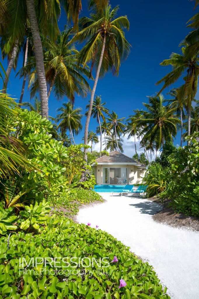 kandima maldives tropical garden pathway resort