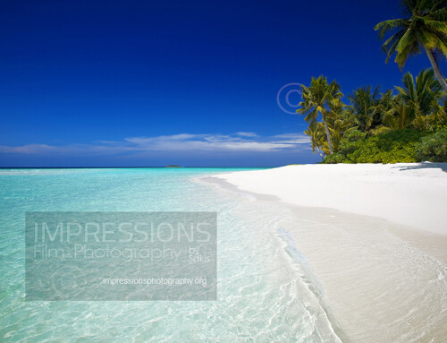 Maldives Beach Stock Photos – High Quality Stock images and pictures